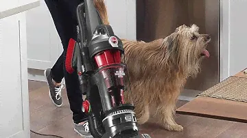 Hoover WindTunnel 3 Max Performance Upright Vacuum Cleaner, Powerful Suction for Pet Hair