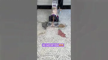 SmartWash Pet🤯 #cleaning #cleanwithme #cleaningmotivation #satisfying #oddlysatisfying #clean