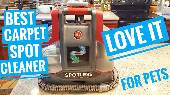 REVIEW Hoover Spotless Portable Carpet & Upholstery Spot Cleaner, FH11300PC   BEST FOR PETS