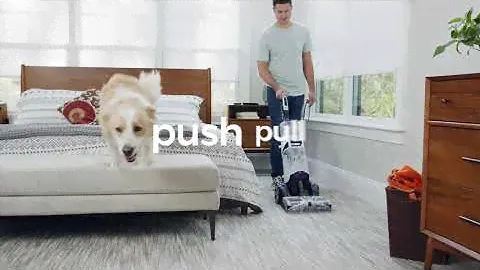 SmartWash Pet: It's Not Complicated