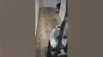 Carpet clean with Hoover PowerScrub XL #cleaning #cleaningmotivation