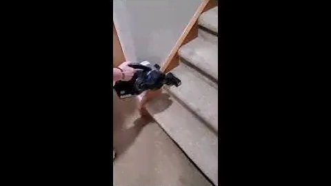 Hoover® ONEPWR™ Blade Pet Cordless Vacuum video review by Glen