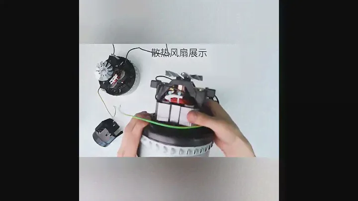 BF857 220V-240V 1000/1500W Vacuum cleaner motor from paul