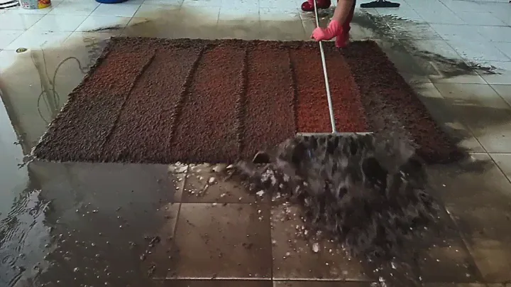 Watch the Dirtiest Carpet Get Cleaned | Satisfying Deep Clean ASMR